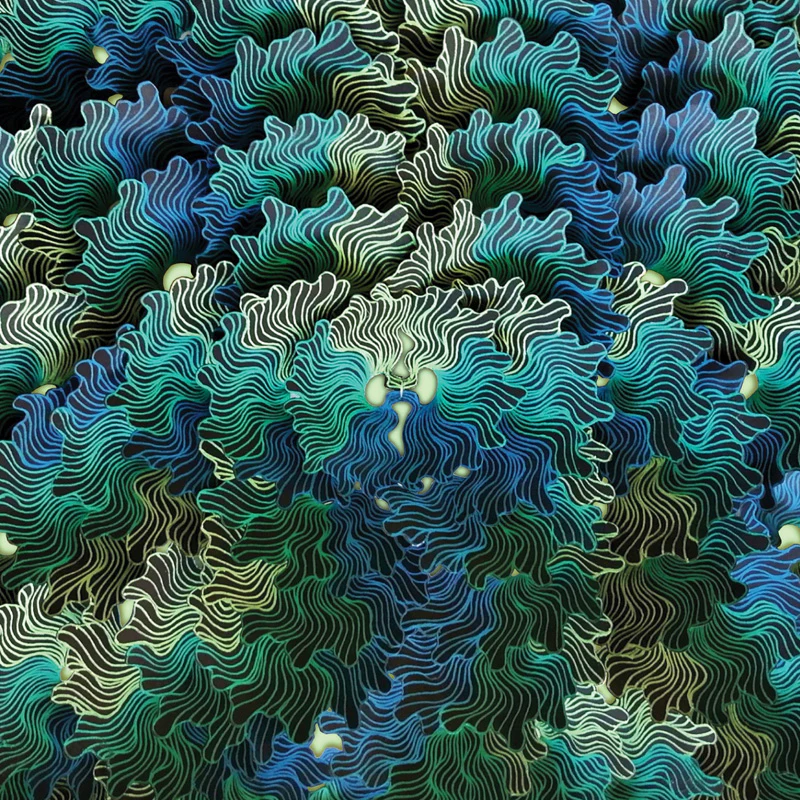 Miniature 1